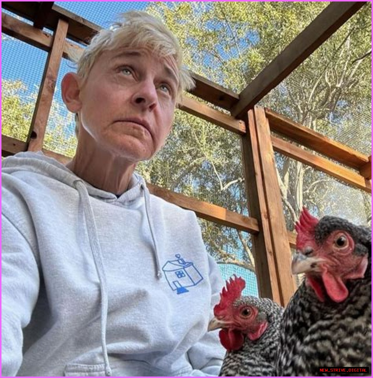 Mia Wasikowska: A Comprehensive Look At Her Life And Career