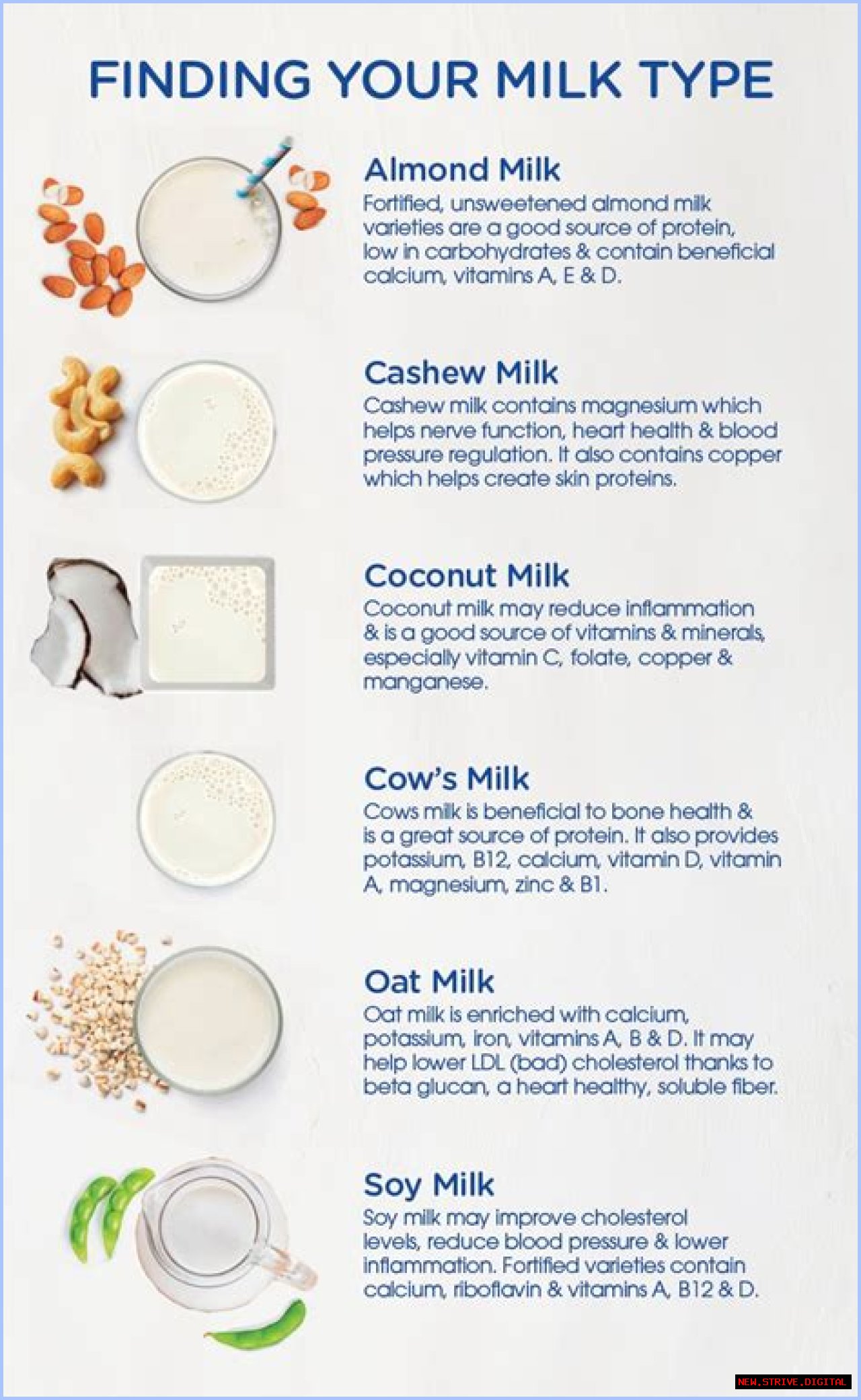 The Comprehensive Guide To Milk: Health Benefits, Types, And Nutritional Value